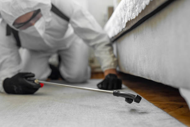 Professional Cockroach Control technician working in Antigo, WI